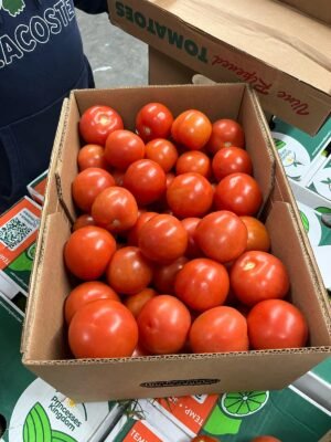 Tomato Vine  6x6 -  (Utility) 25 Lb - Image 3