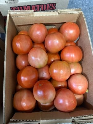 Tomato Vine 5x6 - 25 lb - Image 2