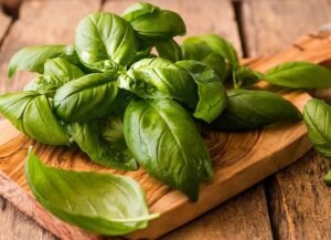 Fresh Basil leaves 1LB