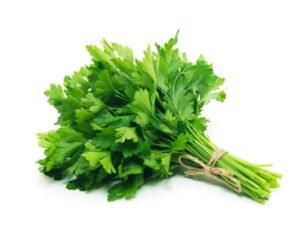Cilantro California 60 Ct - Image 2