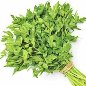 Italian Parsley - 24 Ct