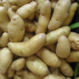 Potato finger 5 lb