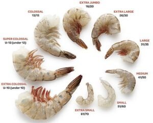 Shrimp 26/30 P&D Tail on - Image 2