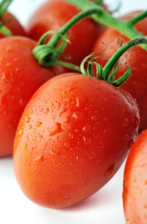 Fresh Tomato Plum 5 Lb