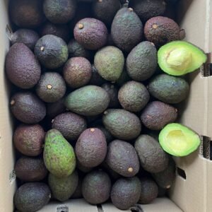 Avocado Hass 70 Ct