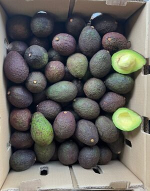 Avocado Hass 70 Ct