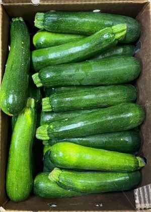 Green Squash (Zucchini) - 24 Lbs