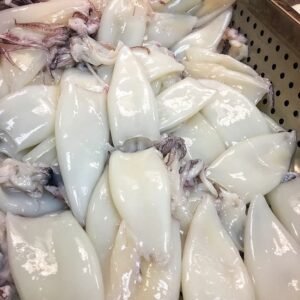 Frozen Jumbo Squid - U/10 - Image 2