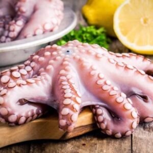 Raw frozen Octopus 6-8 Spain