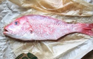 Whole Red Snapper 1.5 - 2 LB wild caught