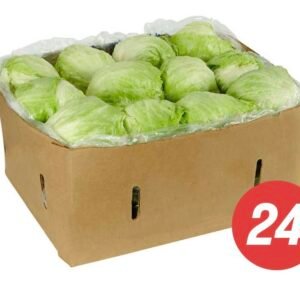 Iceberg Lettuce, Cello-Wrapped / 24-30 Ct