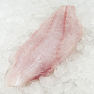 Grouper Fillet 8-10  (10 pounds)