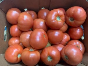Tomato Vine 5x6 - 25 lb