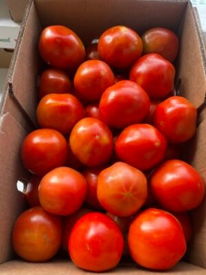 Tomato Vine 5x6 - 25 lb - Image 2