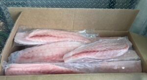 Corvina Fillet 1-3Lb