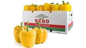 Yellow Pepper 25 Lb