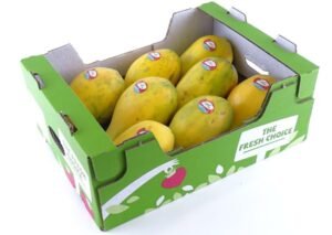 Papaya Mx