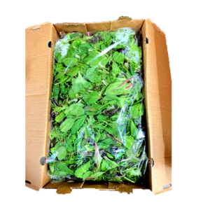 Mesclun/Spring Mix - 3 Lb