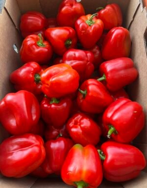 Red Bell Peppers, Bushel 20 Lb Aprox
