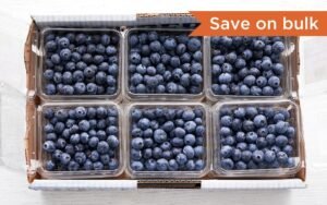 Driscoll Blueberries - 18 Oz