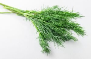Dill