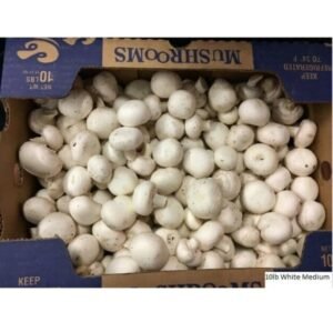 White Medium Mushrooms 10 Lbs