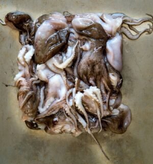 Baby Octopus 2 LB Average