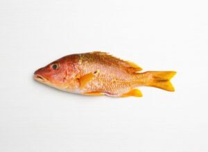 Whole Red Snapper 1-1.5 LB wild caught