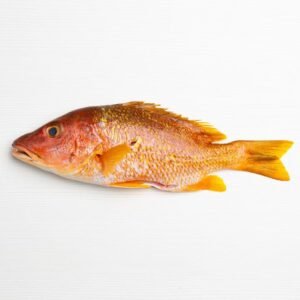 Whole Red Snapper 1-1.5 LB wild caught