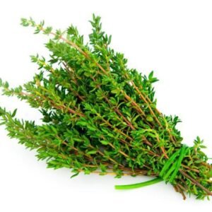 Thyme - 1 Lb