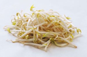 Bean Sprouts - 10 lbs