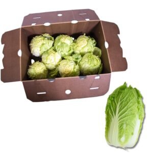 Napa Cabbage 50 Lb