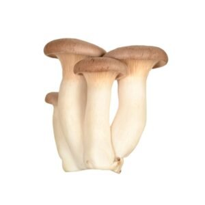 Oyster King Mushrooms