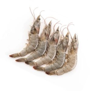 Shrimp 10-20 Head On White 40 Lb