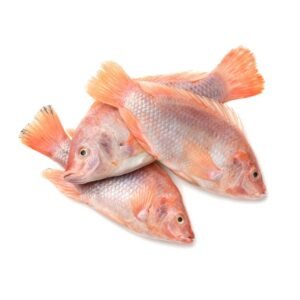 Frozen Red Tilapia 800-1000 Gr 22Lb