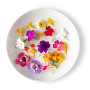 Micro Sun Daisy Mix 200Ct