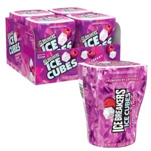 Ice Breakers - Raspberry Gum Cubes - 4ct