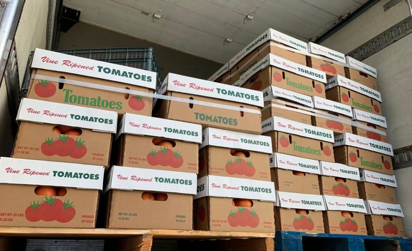 Tomato per pallets Tomato per pallets